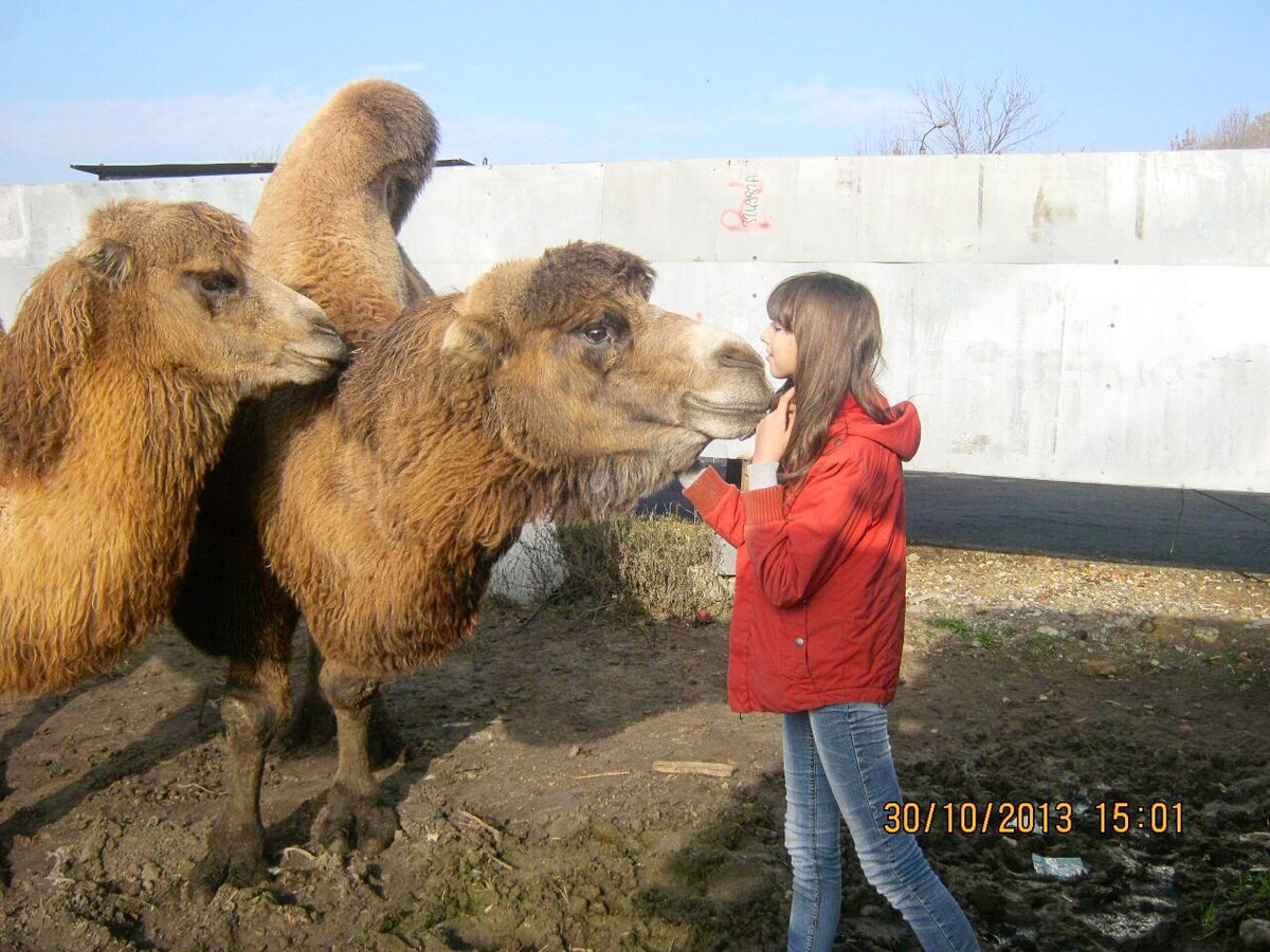 Яша и Дуся