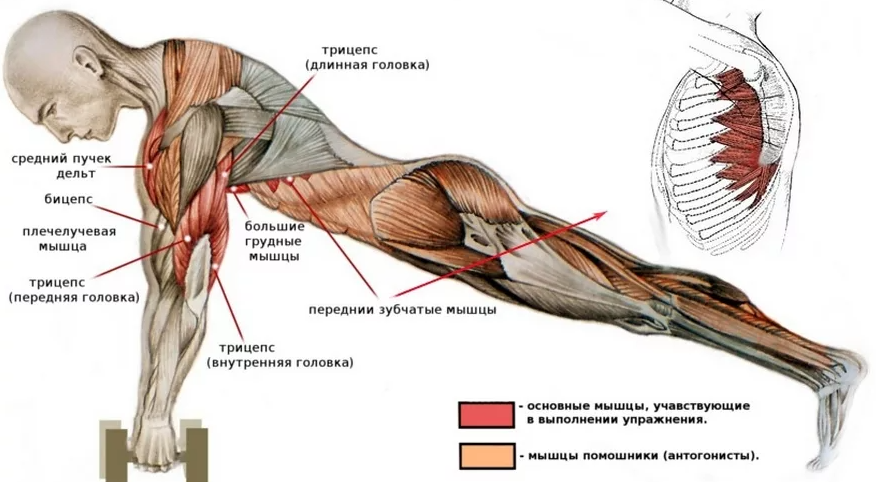 Изображение взято с Яндекс картинки