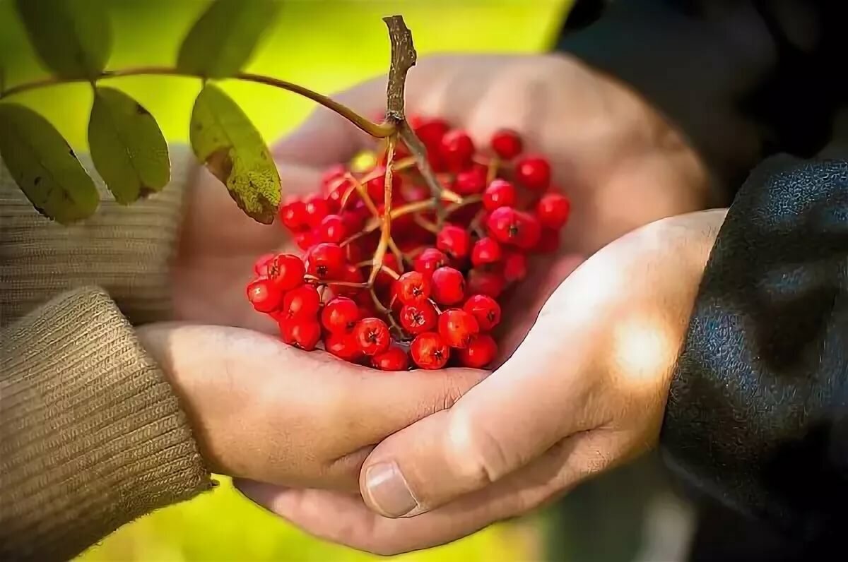 фото: https://avatars.mds.yandex.net 