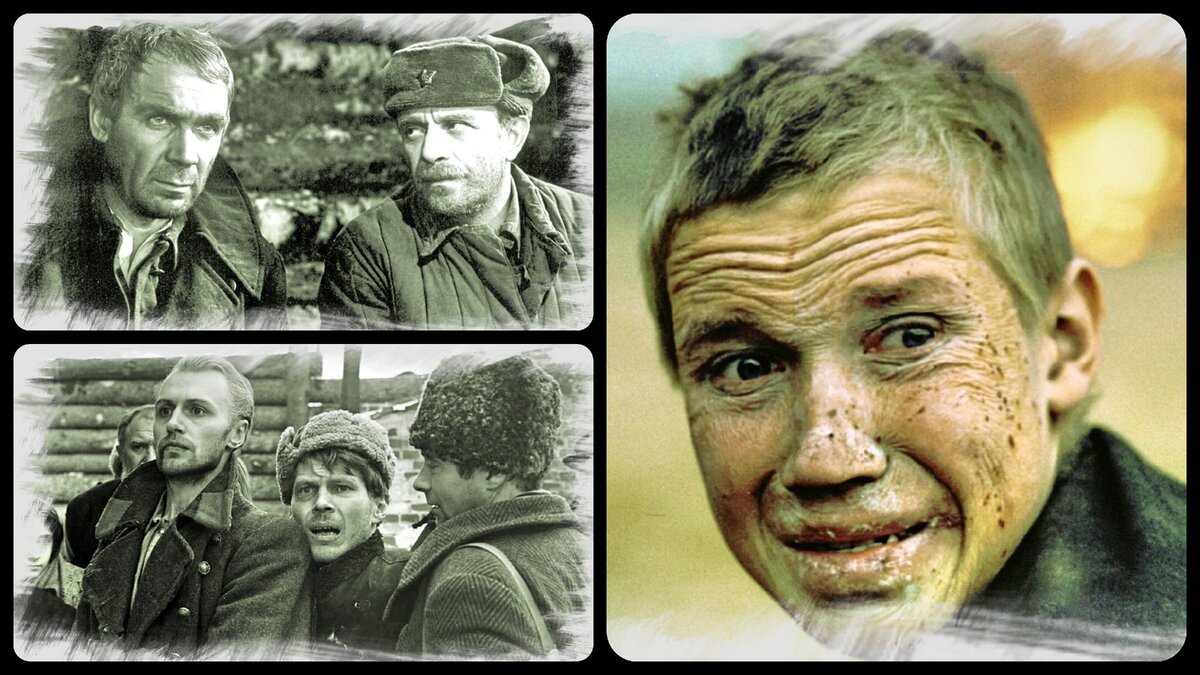 фото из свободных источников