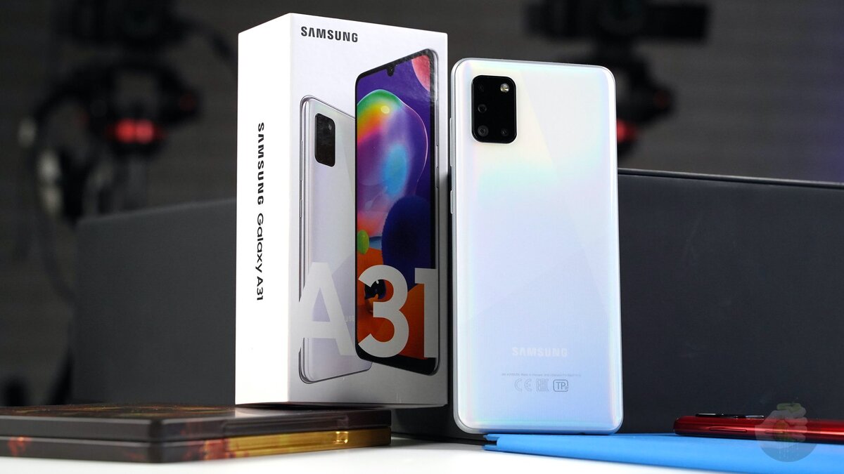 Фото: Александр Побыванец / Wylsacom Media