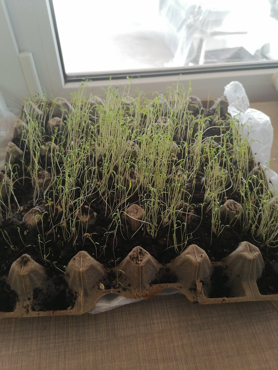 Выглядит это вот так.