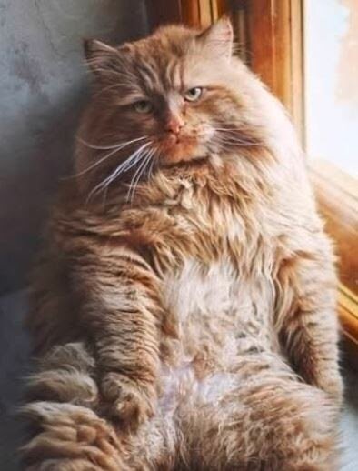 Удиви меня! Расскажи