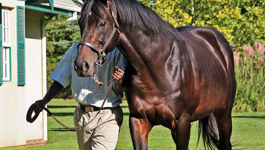 Шариф Дансер.
