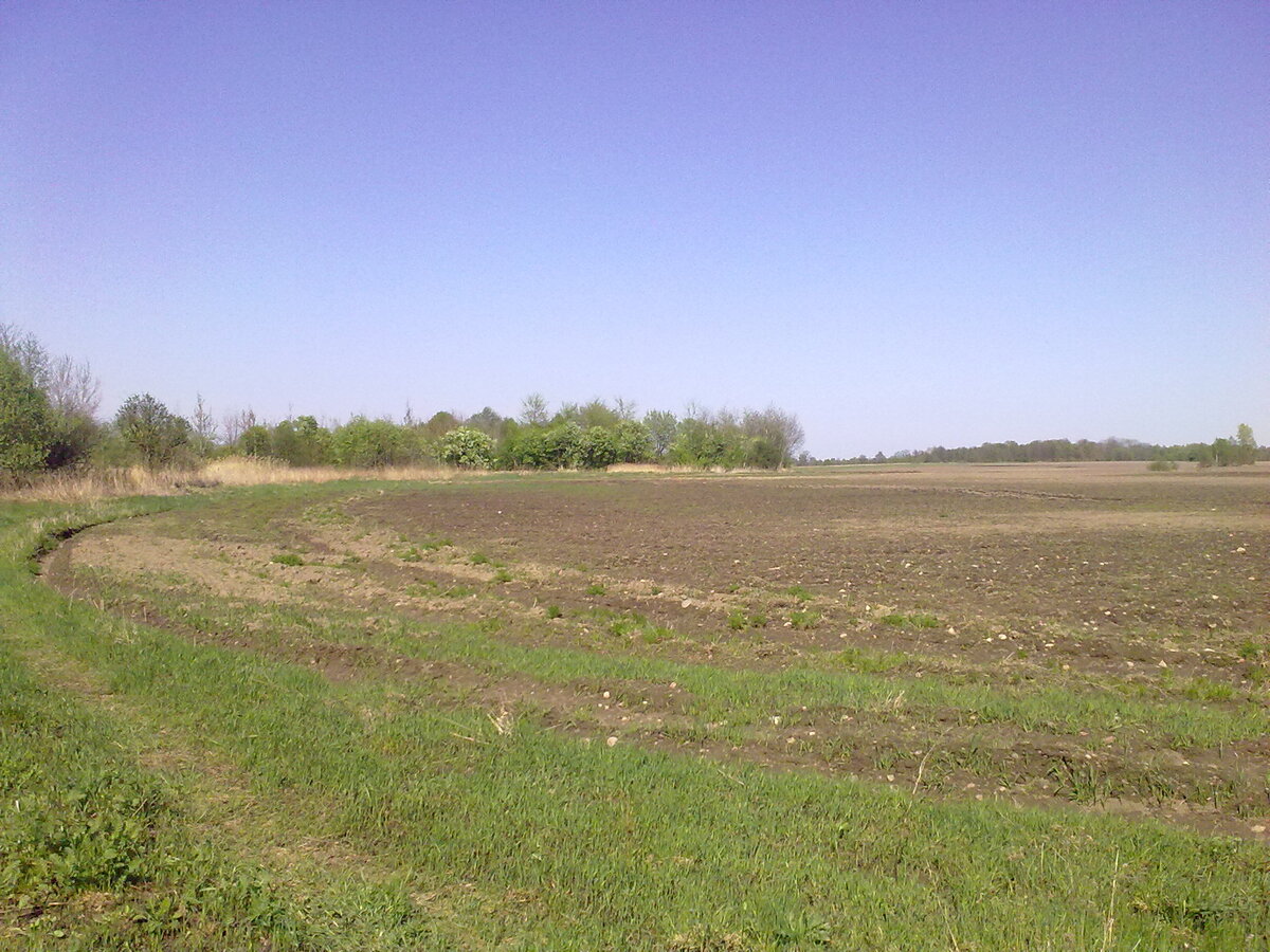 Родные поля