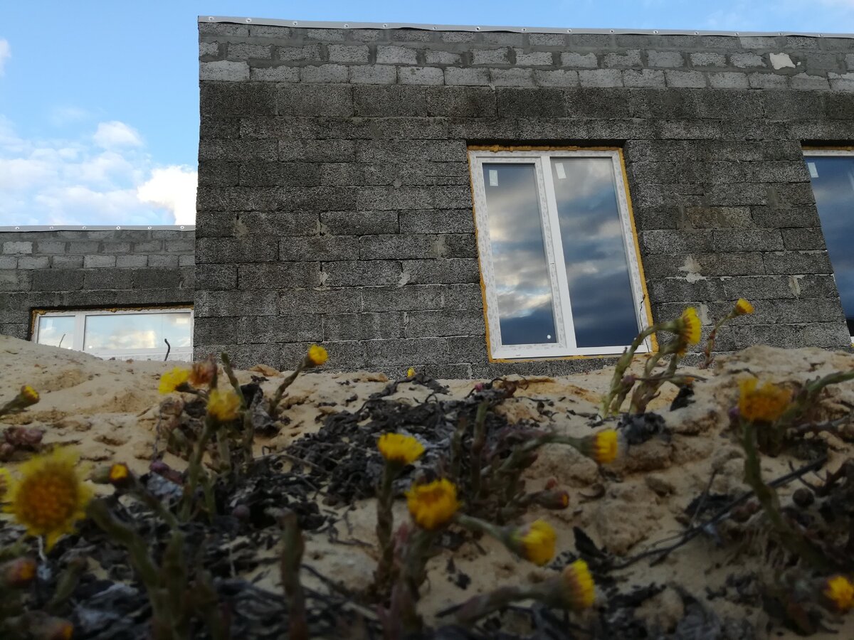 Так выглядит мембрана снизу,