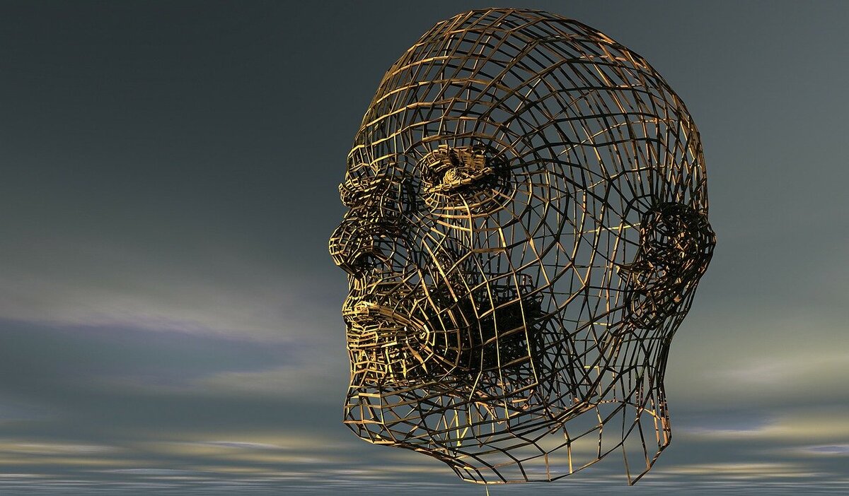 https://pixabay.com/ru/illustrations/%D0%B3%D0%BE%D0%BB%D0%BE%D0%B2%D0%B0-%D0%B3%D0%BE%D0%BB%D0%BE%D0%B2%D1%8B-%D1%87%D0%B5%D0%BB%D0%BE%D0%B2%D0%B5%D0%BA%D0%B0-196541/