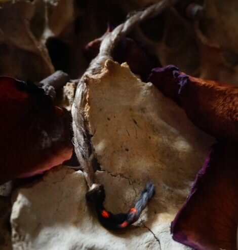 Фото из интернета.