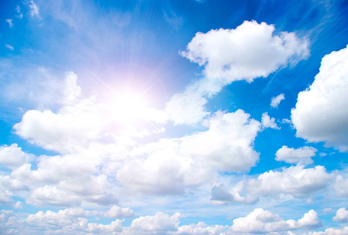 Яндекс-картинки