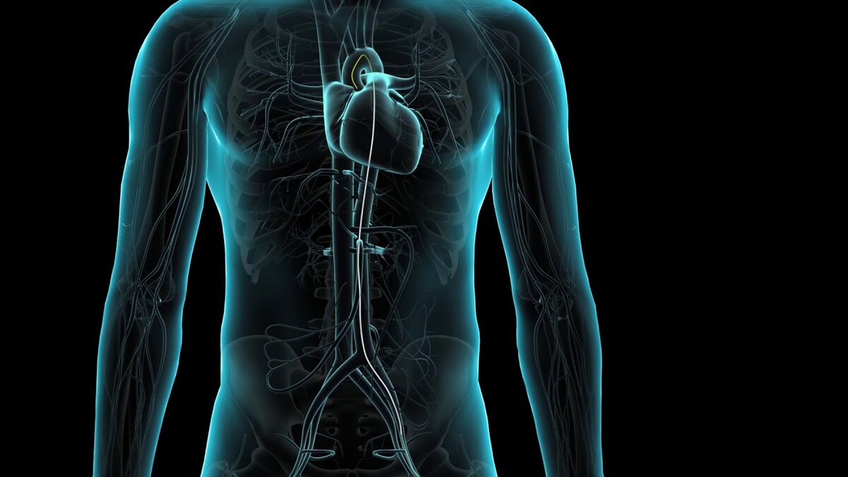 Взято из яндекс картинок. Статья из внешнего источника. 