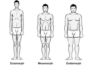 Эктоморф тело