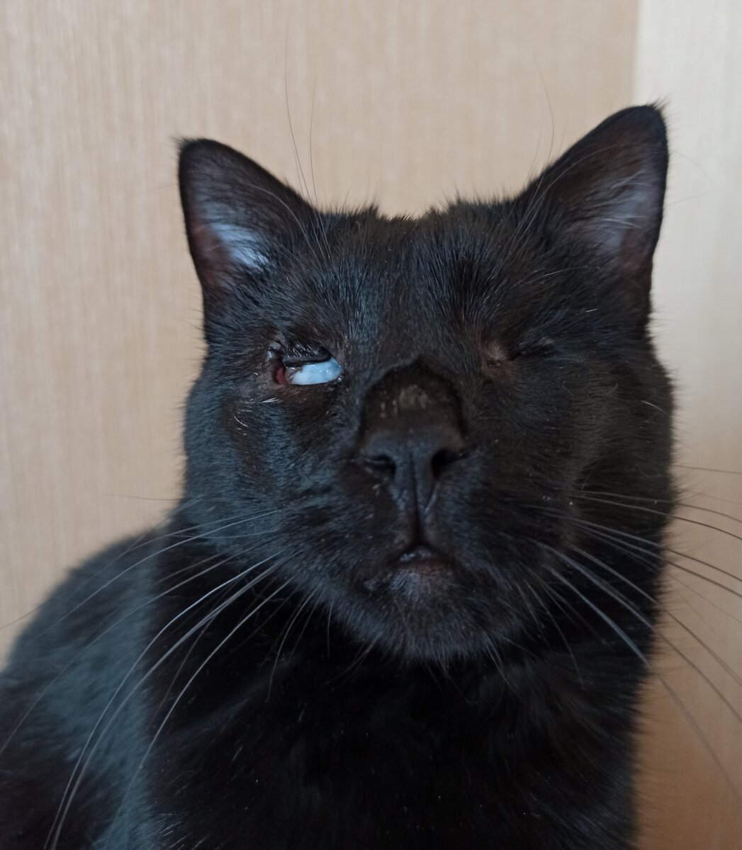 Малыш смотрит в душу и очень вас внимательно слушает)