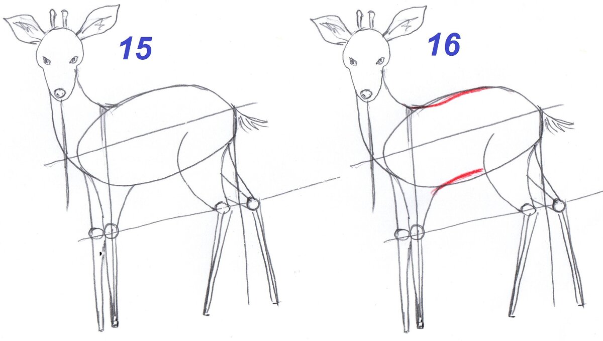 Как поэтапно карандашом нарисовать оленя карандашом поэтапно