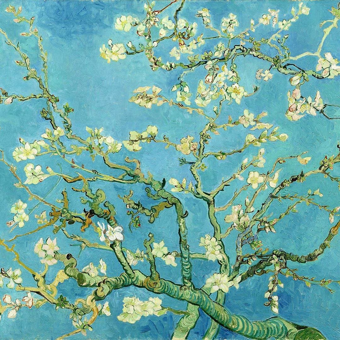 «Цветущие ветки миндаля», 1890г.