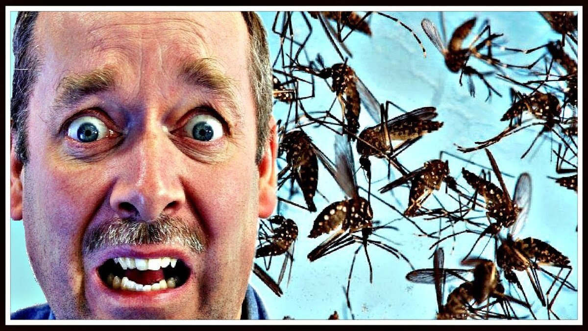 Дезинфекция добила воробьев окончательно!!!