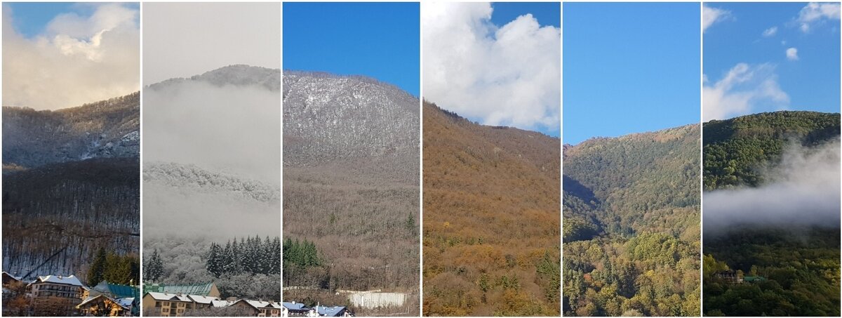 Мозаика из 6 фото,  снятых в разные времена года.