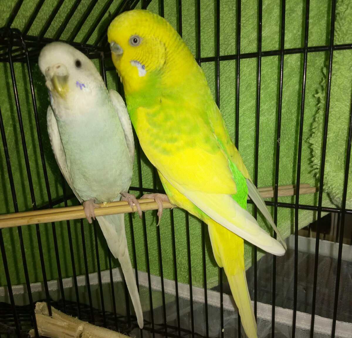 Фото автора истории. 