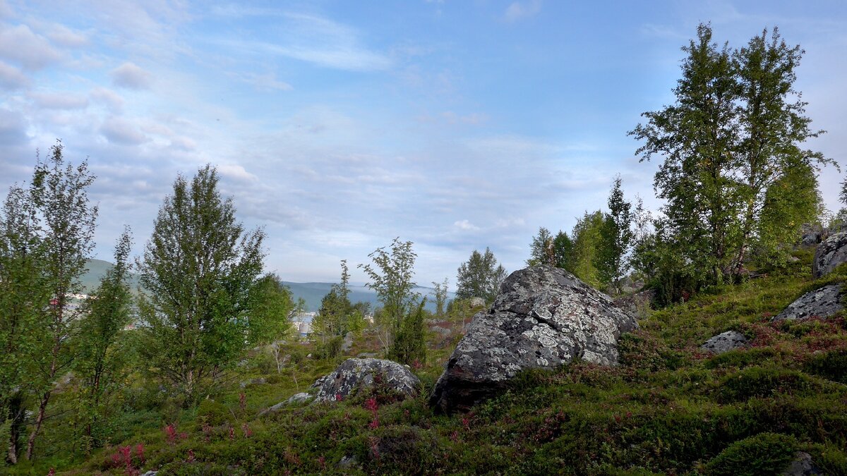 Тундра в Мурманске. Фото автора