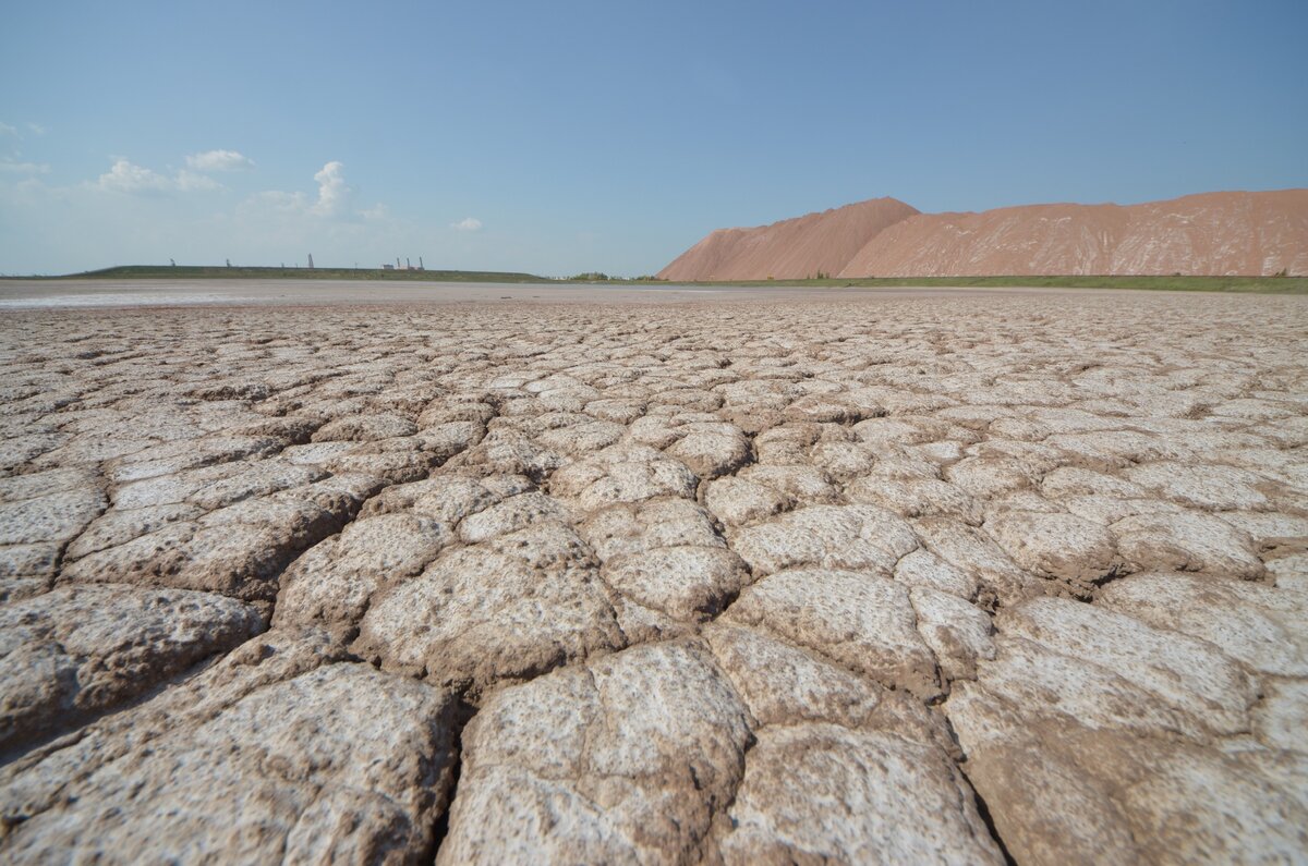 Фото принадлежит автору блога