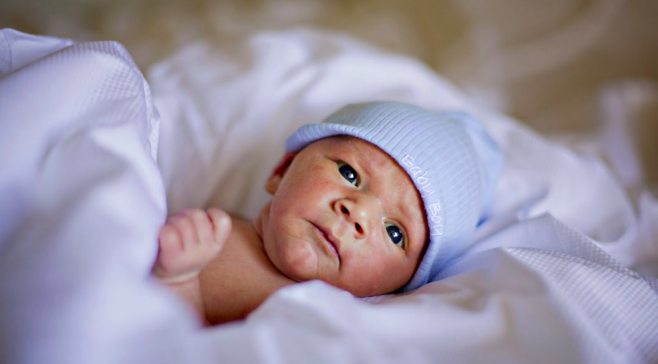 Фотограф Анна Ковшова, город Москва