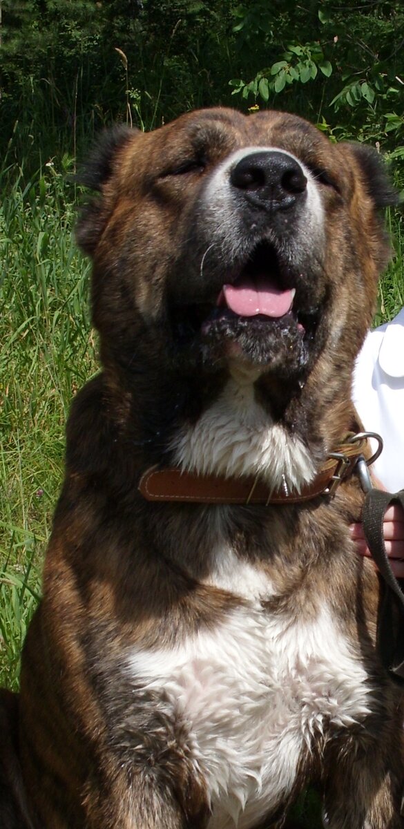 На этом фото я сижу рядом.))).