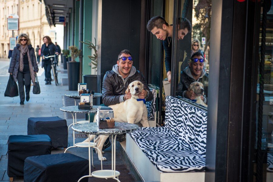 Пойти с собакой в ресторан? В Италии – пожалуйста!