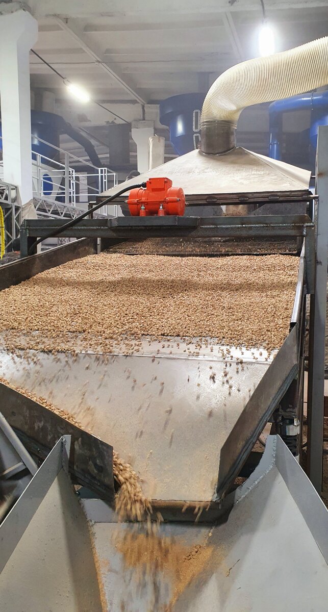 Фото: Минпром Коми