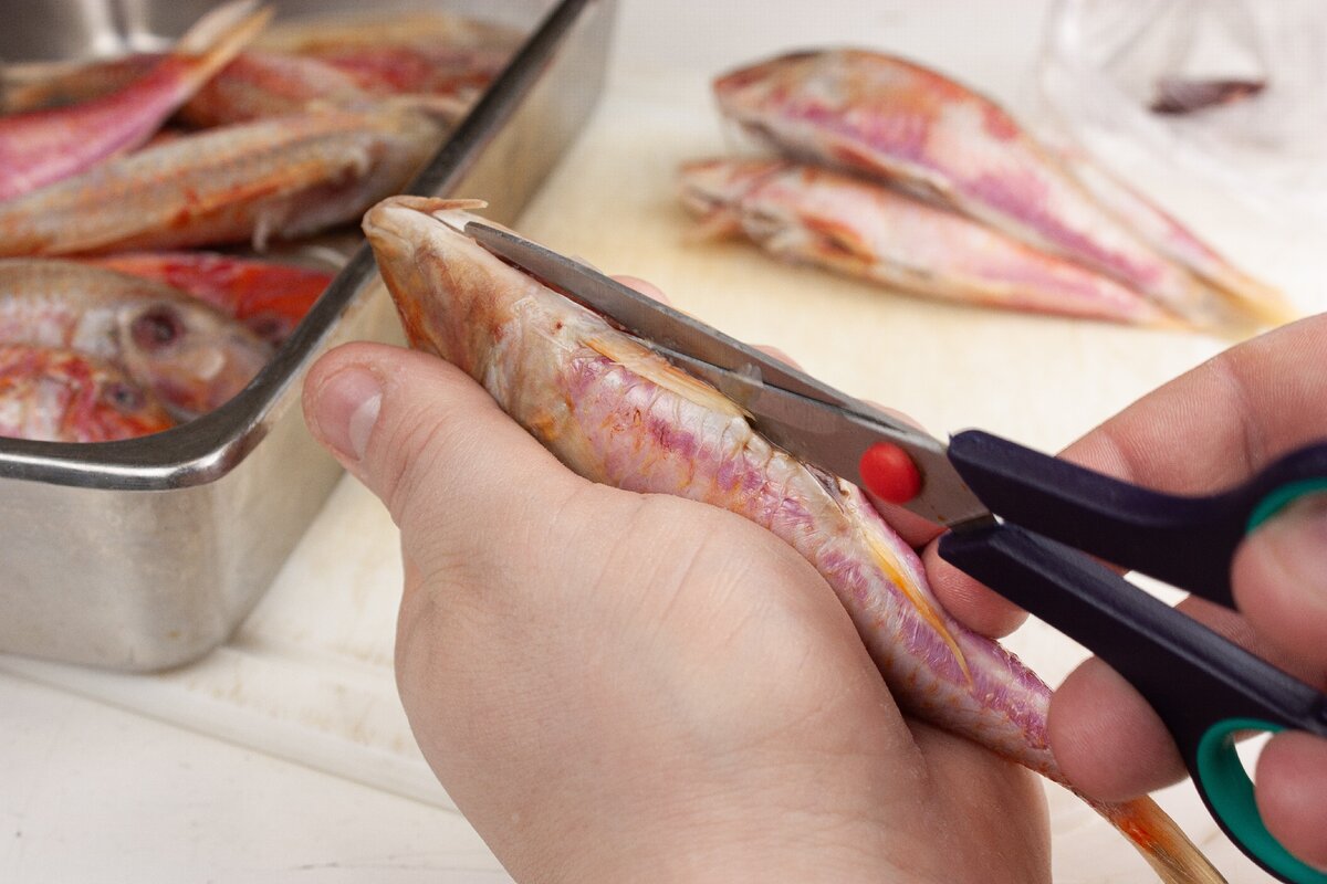 Брюшко аккуратно вскрыть, не задевая внутренности.