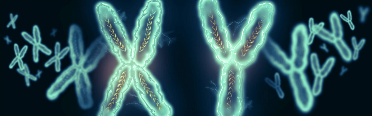 Как определить  пол ребенка и зачем это нужно знать