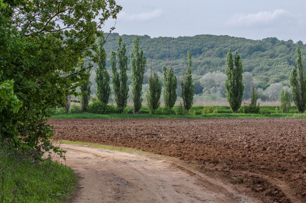 Северский район Краснодарского края