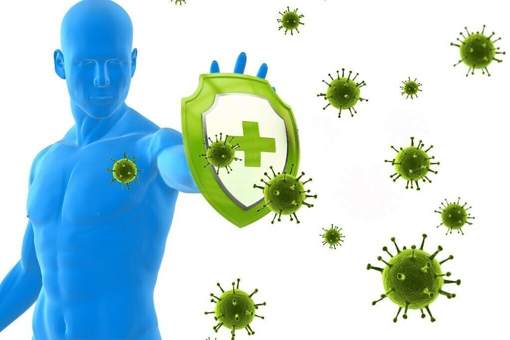 5 суперпродуктов для укрепления иммунной системы