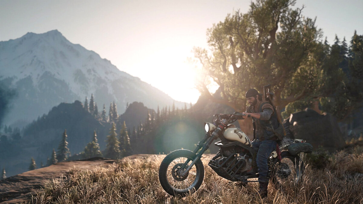 Days gone картинки на рабочий стол