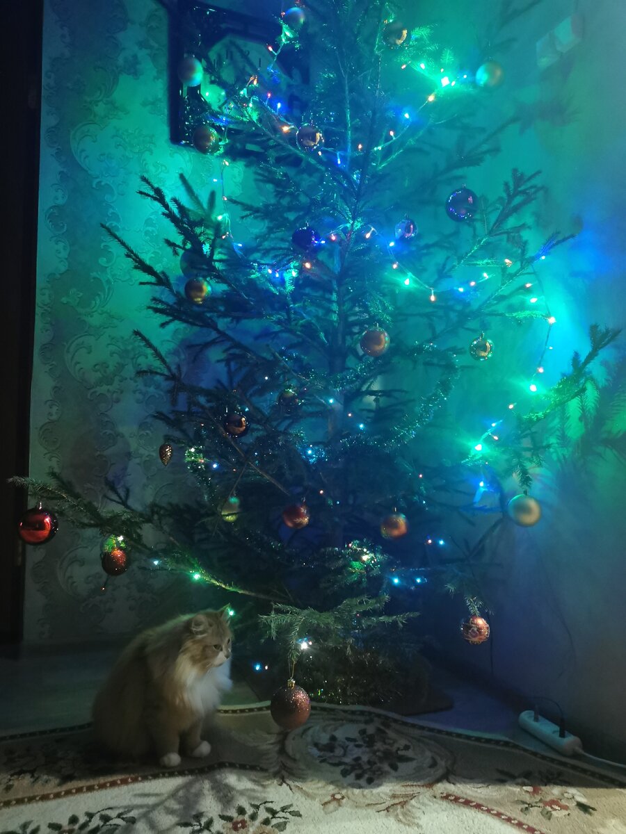 В ожидании чуда