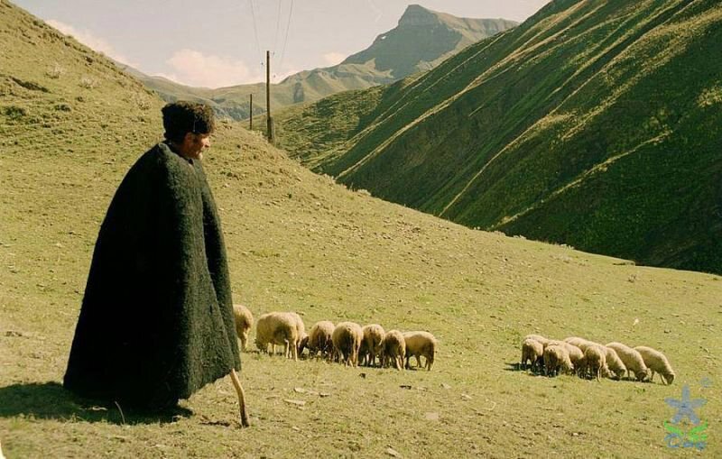 Чабан в бурке.