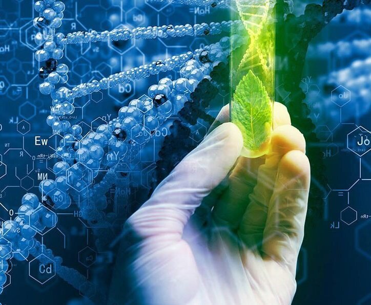 Наука биотехнология изучает способы применения живых организмов для решения технологических задач.