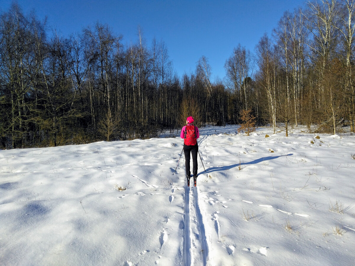 Лыжня пл.66км-Львовская 