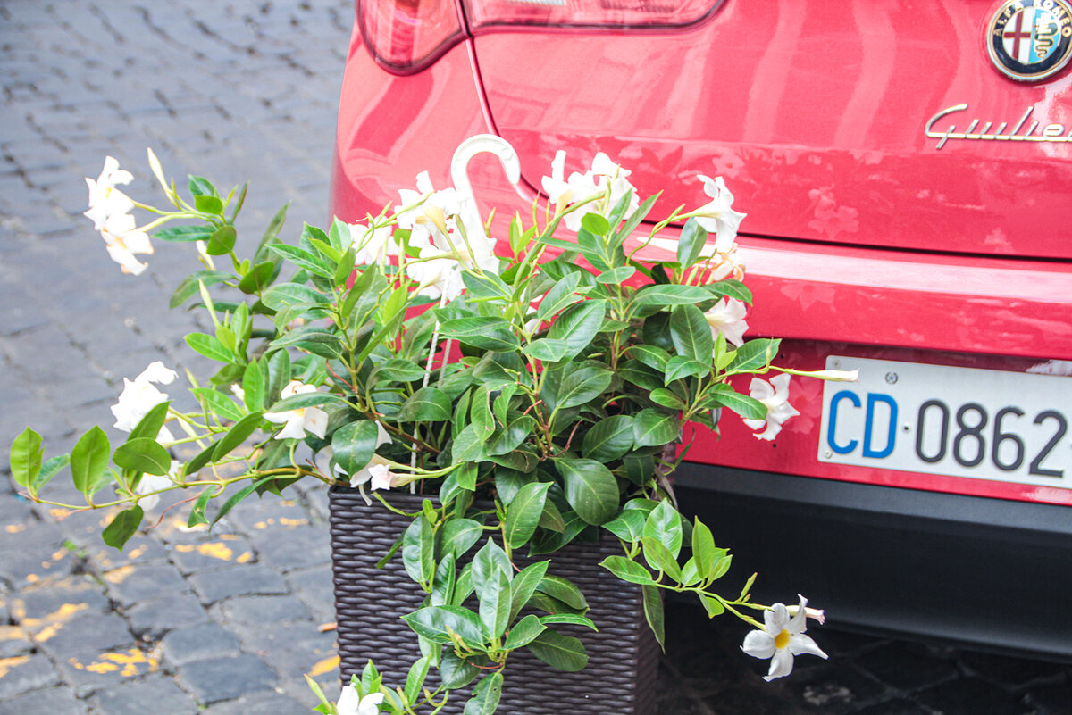 Фото автора.