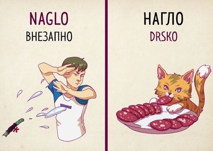 Забавные примеры из русского и сербского языка