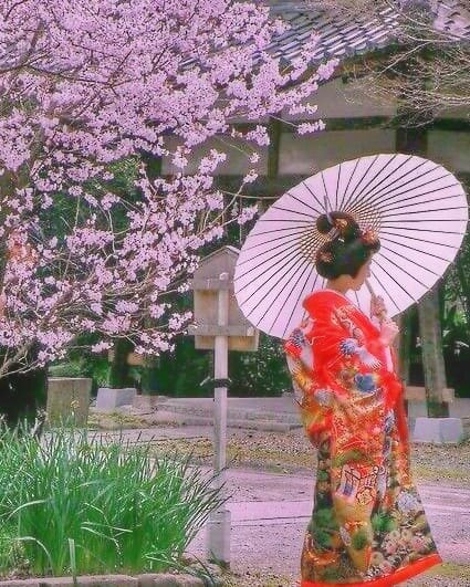 фото из открытого источника интернет