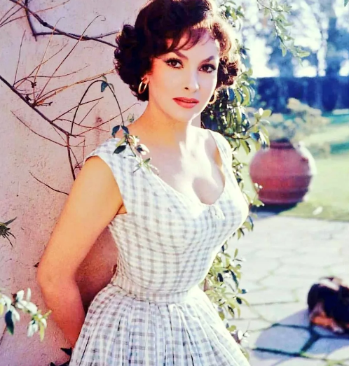 Прекрасная Джина Лоллобриджида. Фото: Яндекс. Картинки