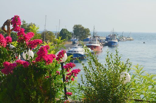 Фото из интернет-источника