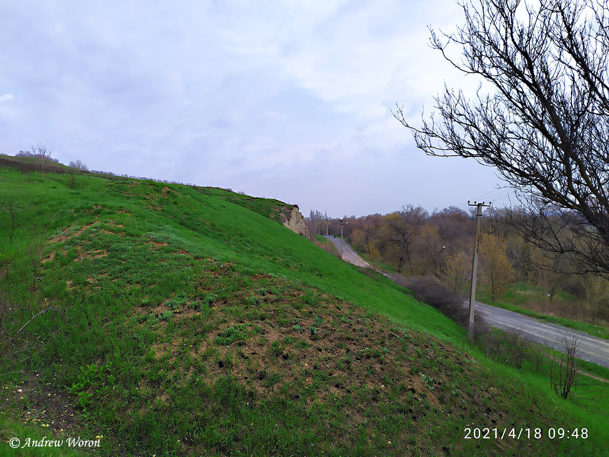 Зеленеющие прибрежные холмы