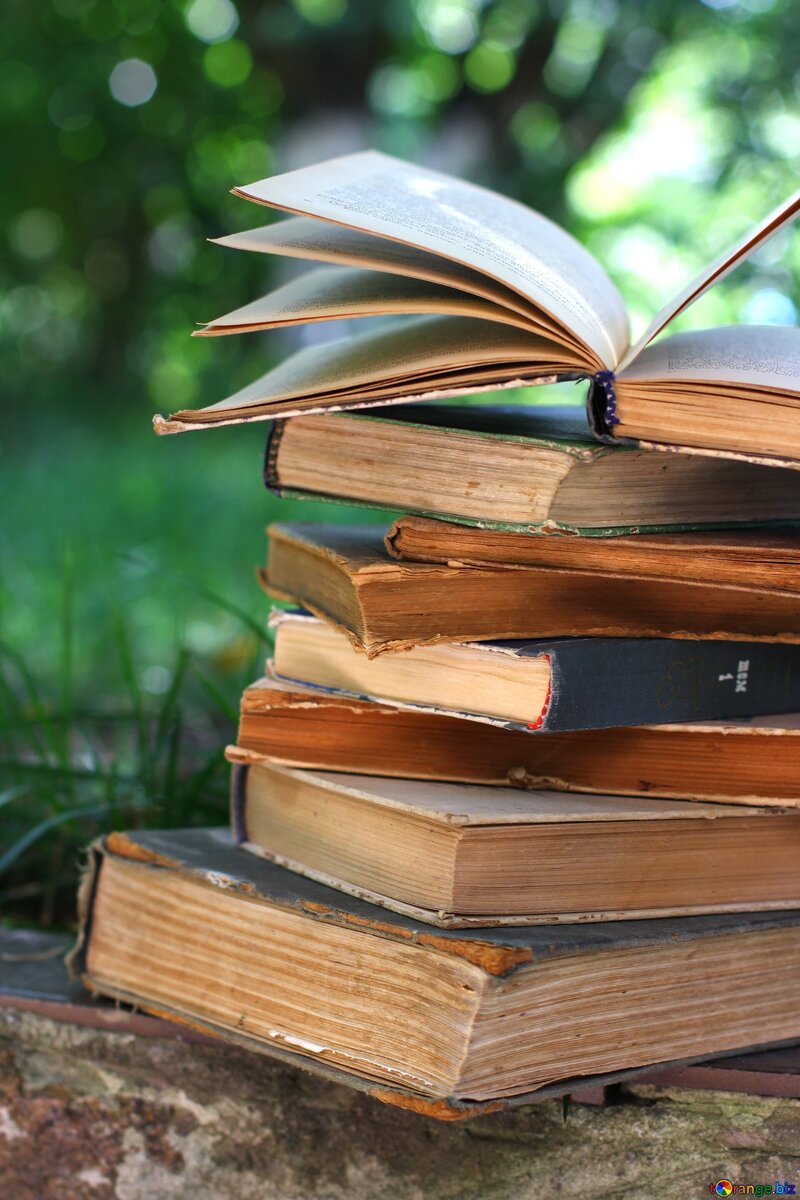 Фото из интернета