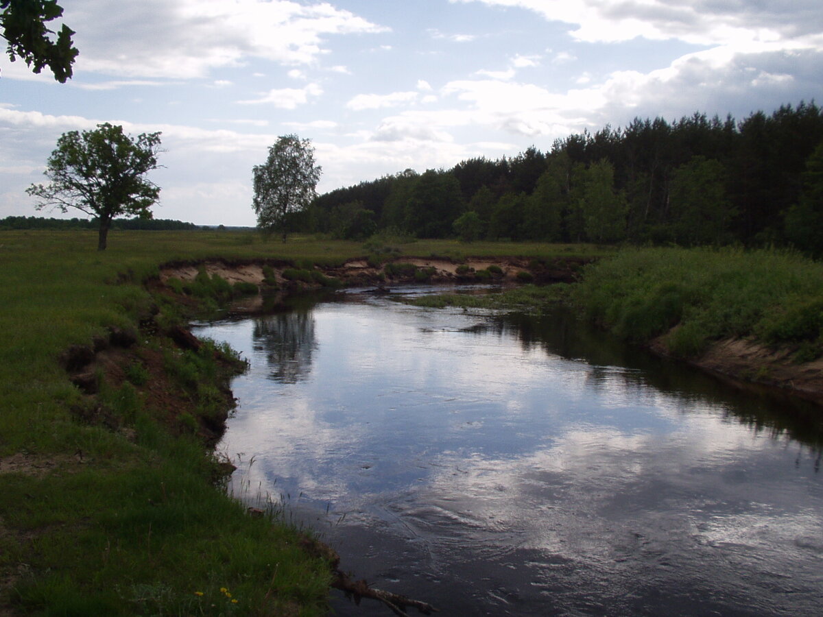 Река Солотча