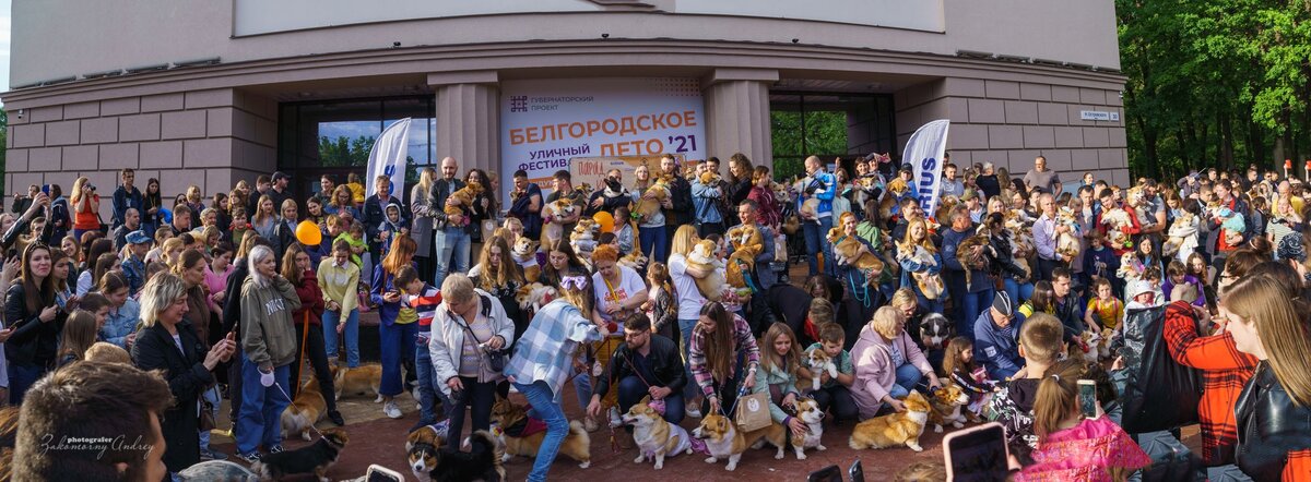  Ливший с обеда дождик, узнав, что сегодня вечером в центральном городском парке имени Ленина, у "Октября,  запланирован парад корги, прекратил поливать окрестности за полчаса до начала.