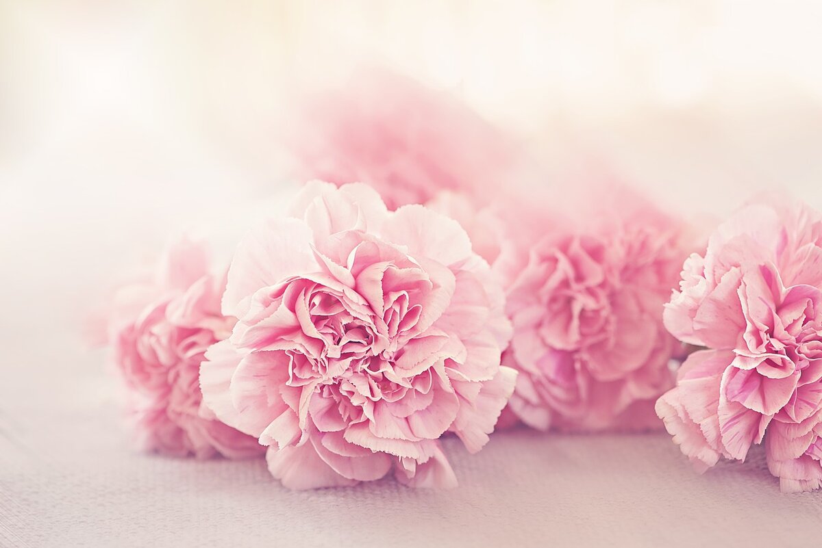 фото с сайта pixabay