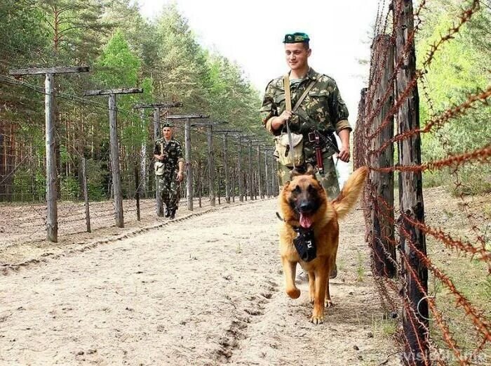 Фото в свободном доступе