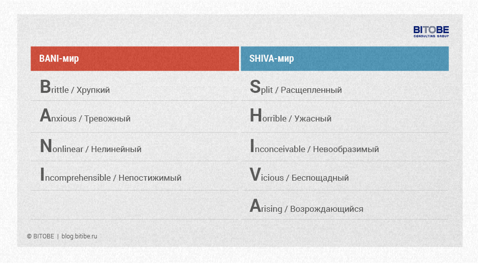 Bani и Shiva мир. Bani концепция. VUCA bani Shiva мир. VUCA bani Shiva Taci мир.