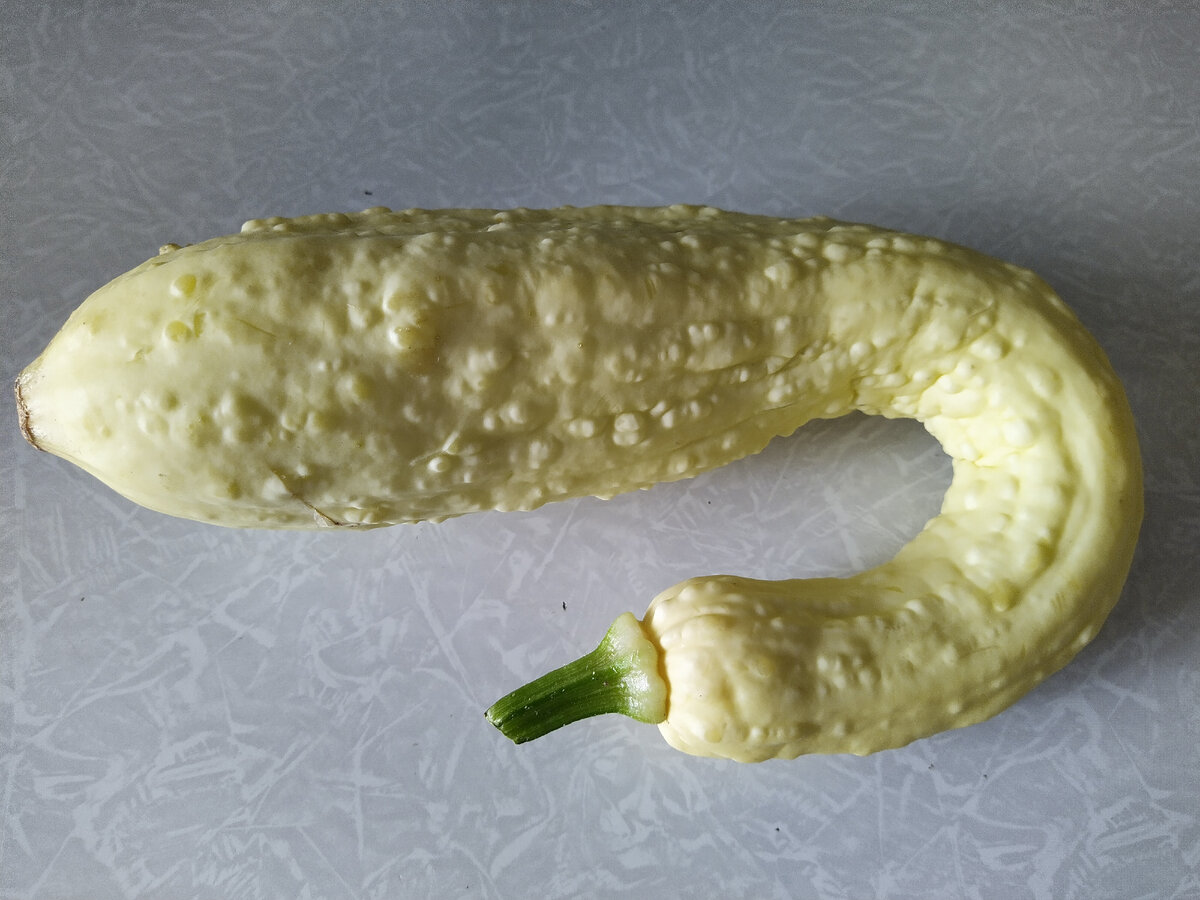 Все фото в статье мои.