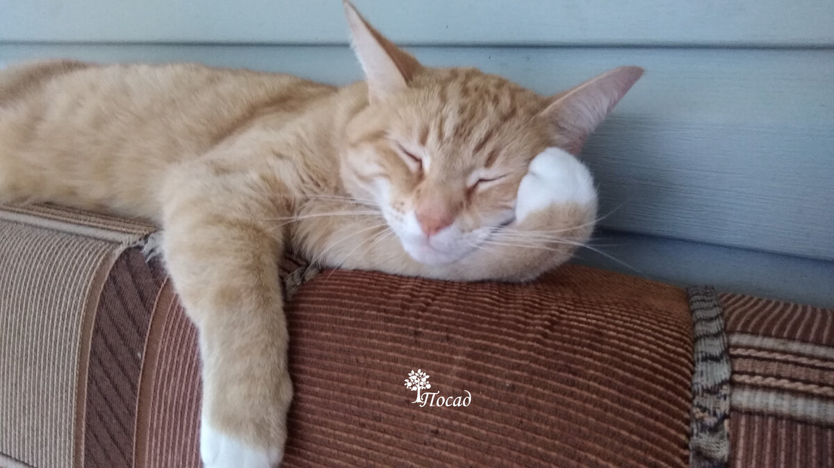 Думаете, спит?